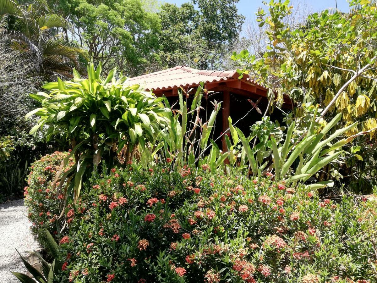 Mundo Goub'Art Bed and Breakfast Cabuya  Eksteriør billede